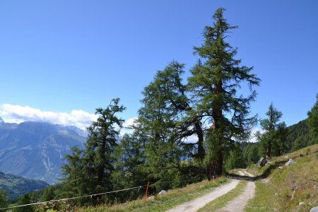 Combe de Ballavaud