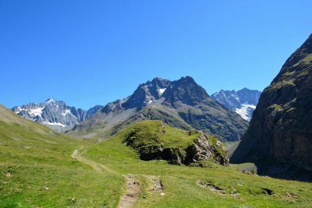 Regard arrière et retour verdoyant