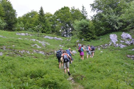 Enfin sortis de la forêt et de sa ’moiteur’.