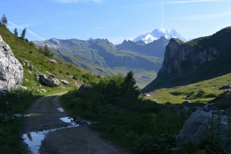 Il a dû pleuvoir hier au soir !