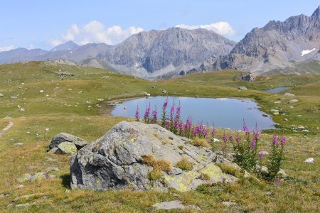 Endroit propice au bivouac.