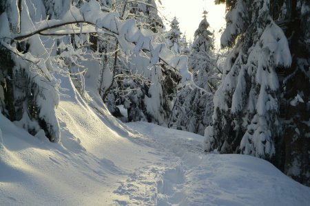 En ce versant nord ce n’est pas prêt d’avoir tout fondu !