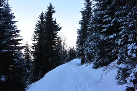 Un tantinet frisquet à l’ombre quand même !