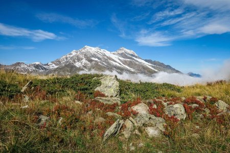 Mont Pourri tout en couleurs