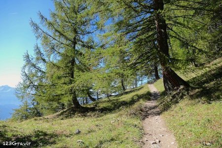 Départ sous les mélèzes