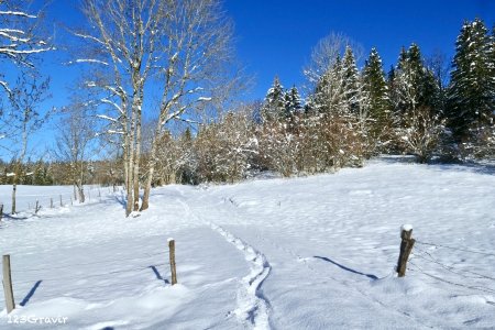 Près de la Béridole