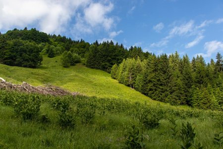 En montant sous le Col du Golet