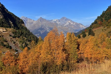 Feuillus en feu et Dent Parrachée