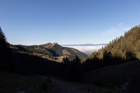 Mer de nuages matinale