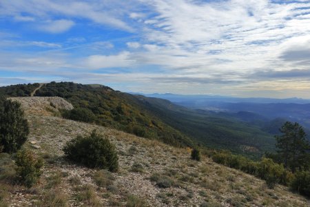 Sur la crête