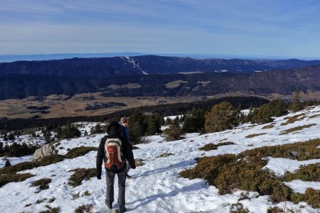 Descente