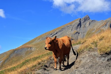 Normalement, c’est priorité à ceux qui montent !