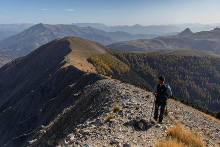 Descente