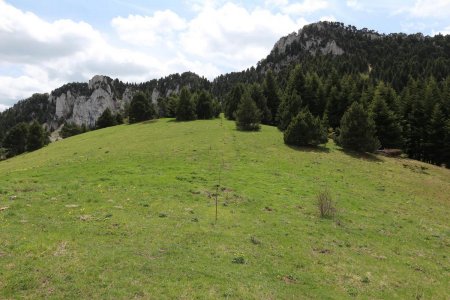 Du col des Prêtres, montée vers la crête de l’Aupillon.