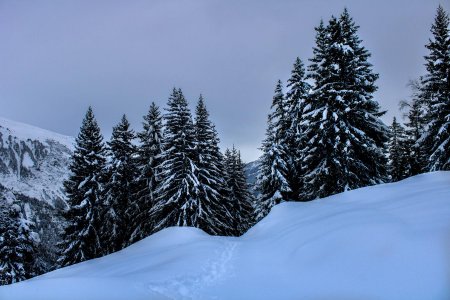 Dans le rétro