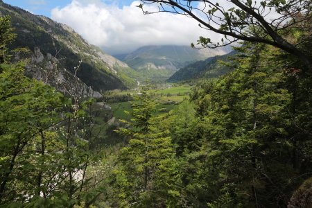 Le vallon de la Jarjatte, vu du sentier des Gardes.