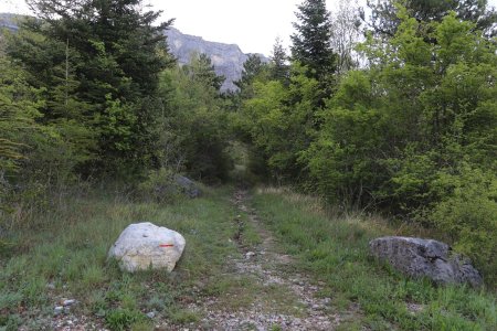 Le sentier après la piste d’approche.