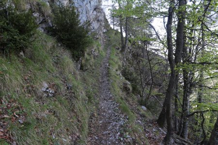 Sentier du pas de Tartonne.