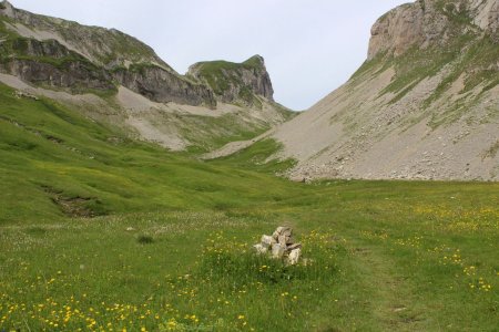 Le Vallon des Aiguilles