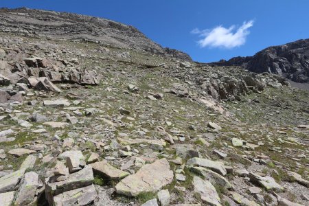 Vallon du Grand Pinier. 