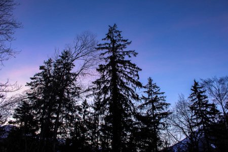 Belles couleurs matinales depuis le point de départ...