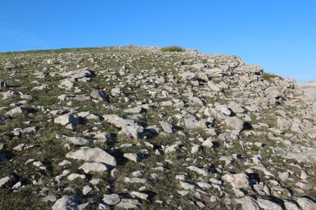 Montée à la montagne de Chamatte.