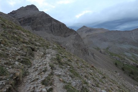 Quelques bouquetins dans les pentes supérieures.