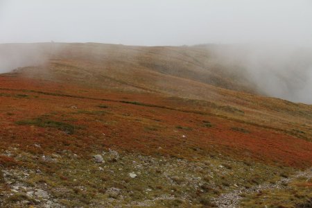 Dans le rétro, zoom sur la croupe nord-est de montée et ses myrtilliers rougeoyants.