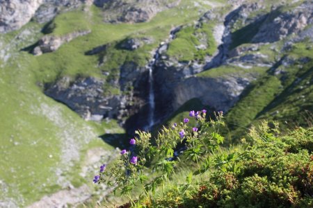   Vue sur la cascade