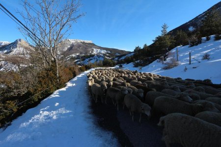 Embouteillage sur la route !