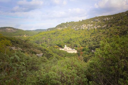 L’Abbaye de Sénanque vue du chemin