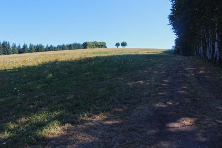 Beau pré menant au Puy de Reméniéras