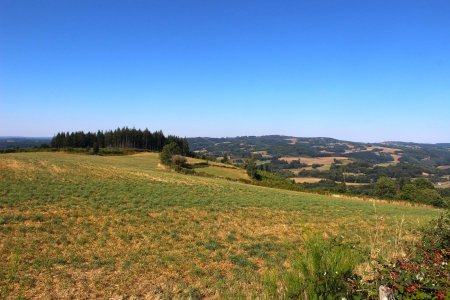 Vers le Mont Gargan et la Haute-Vienne