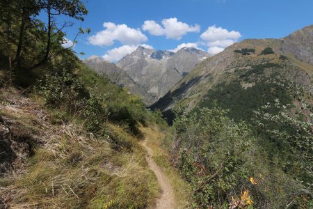 Descente avec l’Olan.