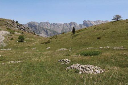 En bas du vallon des Narrites.