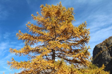 La magie de l’automne...