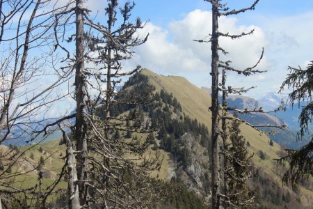 Tête du  Pas de l’Ours vue sur la Pointe de Velan