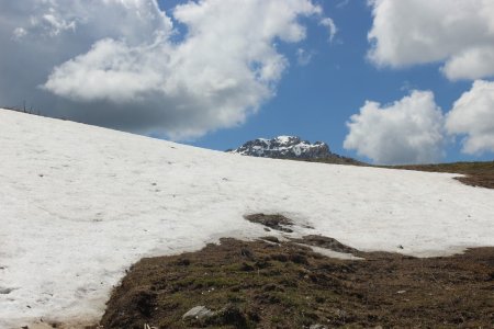 Au dessus du Plan de France vue sur le Trélod