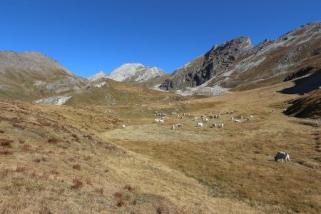 L’alpage avec la Rocca la Marchisa.