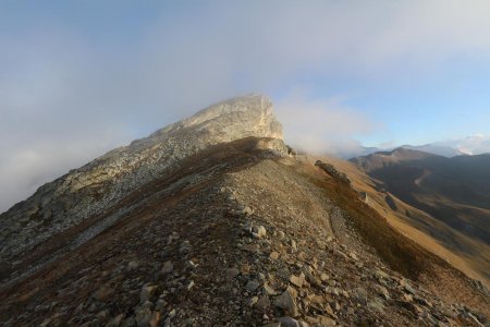 Du Colle della Val Fissela : la montée finale vers le Monte Albrage.