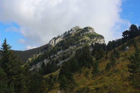 Le Piton de Bellefont