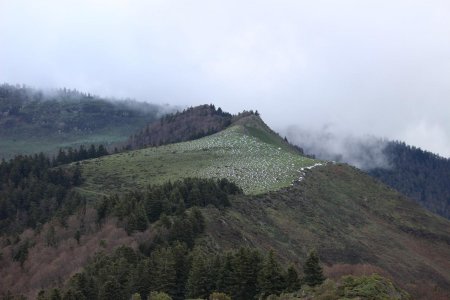 Vue arrière sur la crête