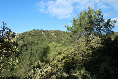 La Tête de Masson vue du sentier. 