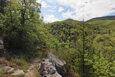 Sentier très agréable en terrasse