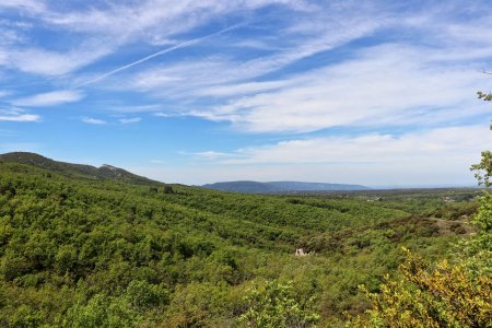 C’est le printemps dans le Sud !