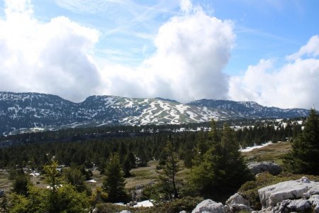 Vue sur le plateau