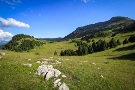 Vallon de Combeau dans le rétro