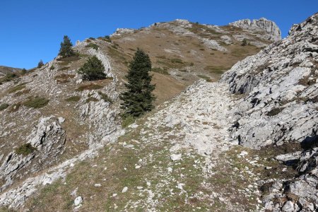 Du sentier du col de la Chante : la descente de la crête du Rognon.