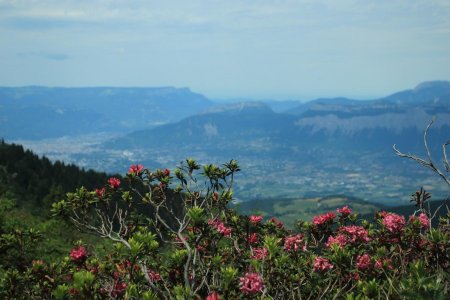 Retour  face Vercors et Chartreuse /Grenoble