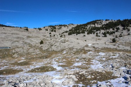 Près de la Jasse de Peyre Rouge